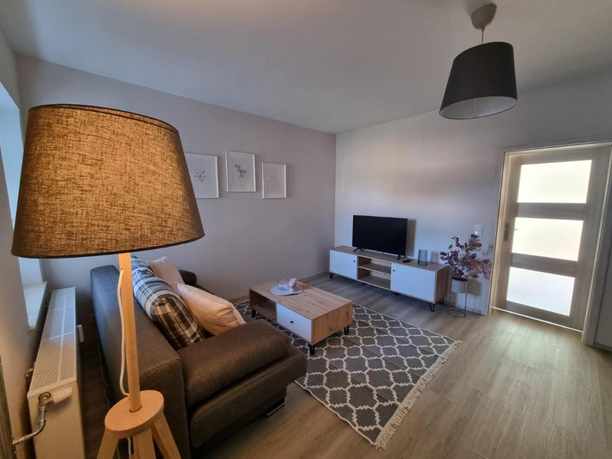 Modern Eingerichtet-Stadtnah-Ferienwohnung Mit Geschirrspueler Und Waschmaschine Friedland  Extérieur photo