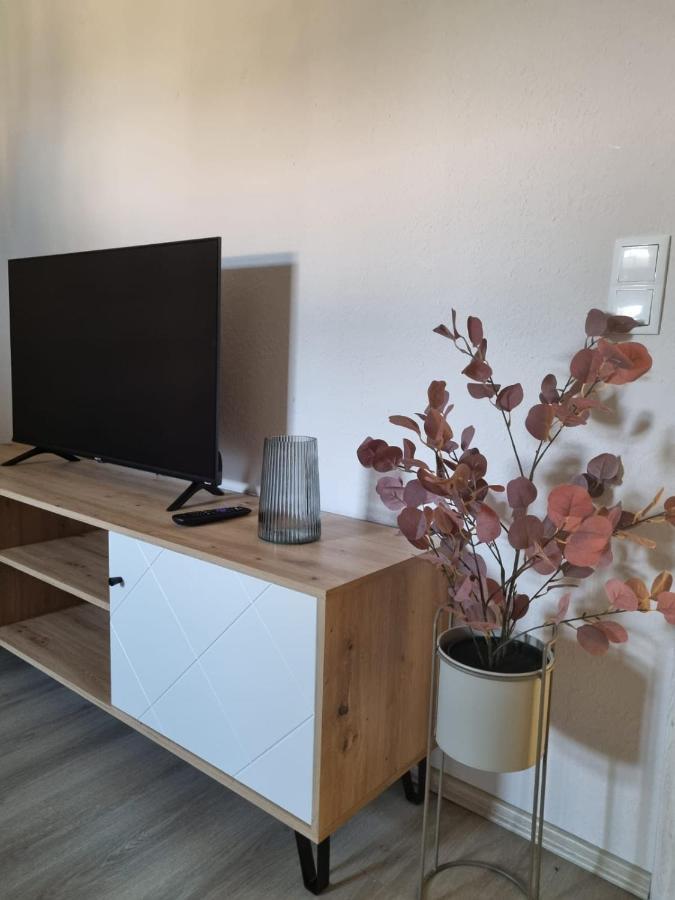 Modern Eingerichtet-Stadtnah-Ferienwohnung Mit Geschirrspueler Und Waschmaschine Friedland  Extérieur photo